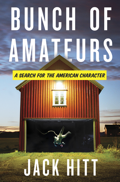 Cover image for book Bunch of Amateurs