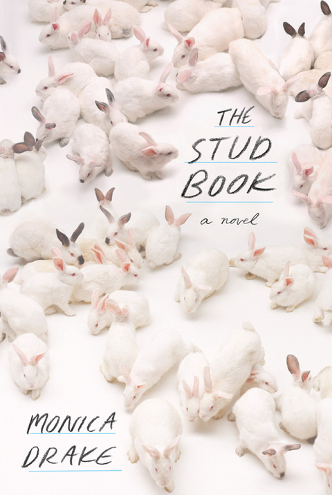 Cover image for book The Stud Book