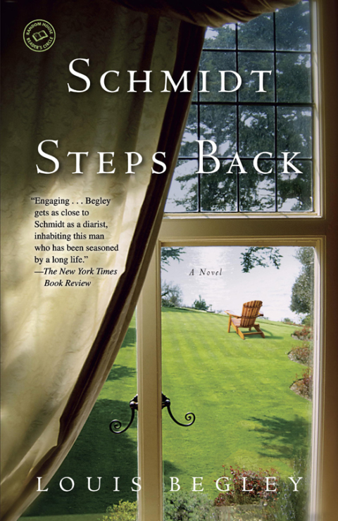 Cover image for book Schmidt Steps Back