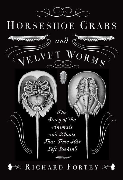 Cover image for book Horseshoe Crabs and Velvet Worms