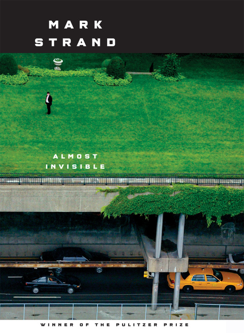 Cover image for book Almost Invisible
