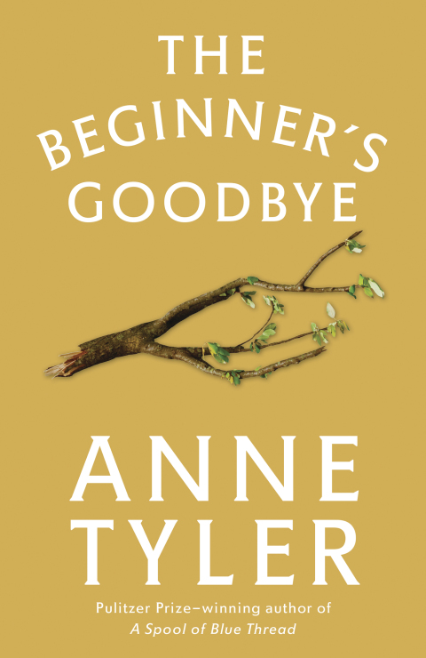 Cover image for book The Beginner's Goodbye