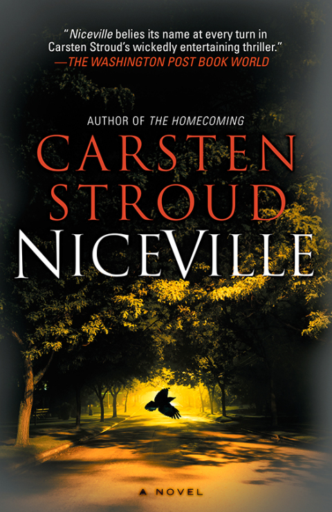 Cover image for book Niceville