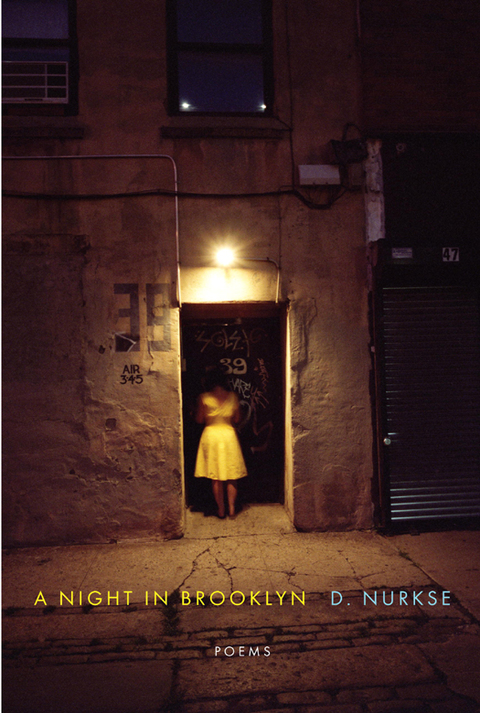 Cover image for book A Night in Brooklyn