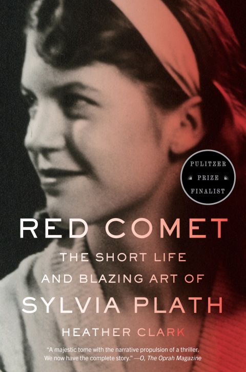 Cover image for book Red Comet