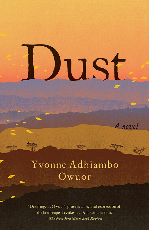 Cover image for book Dust