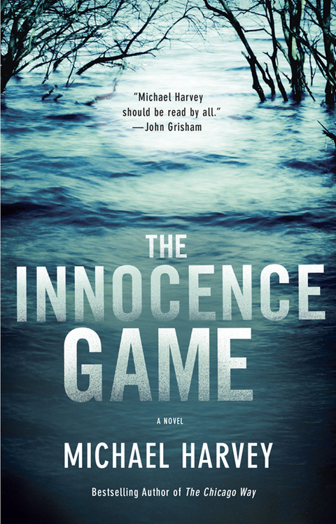 Cover image for book The Innocence Game