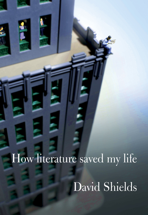Cover image for book How Literature Saved My Life