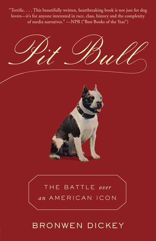 Pit Bull