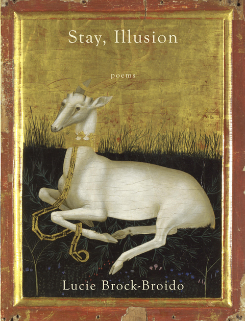 Cover image for book Stay, Illusion