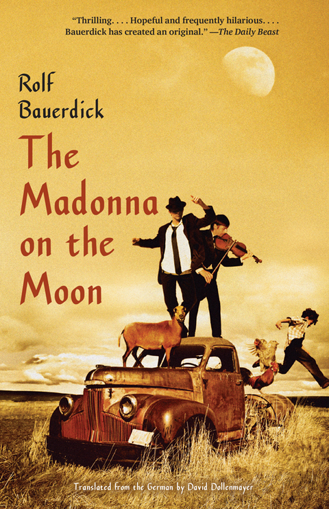 Cover image for book The Madonna on the Moon