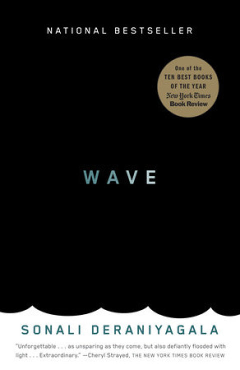 Cover image for book Wave