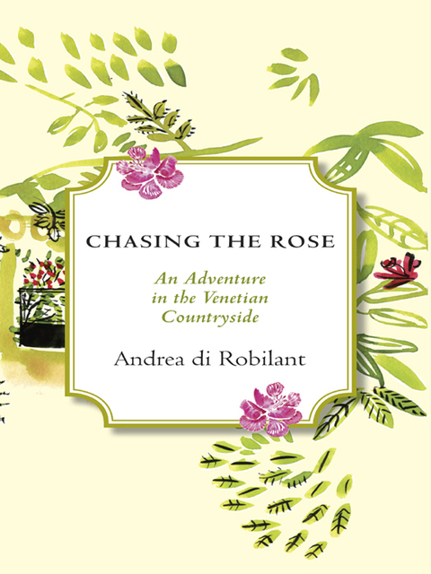 Cover image for book Chasing the Rose