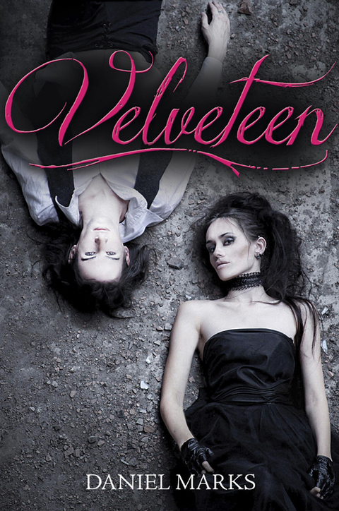 Cover image for book Velveteen