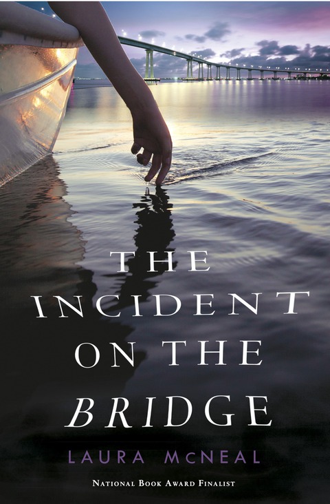 Cover image for book The Incident on the Bridge