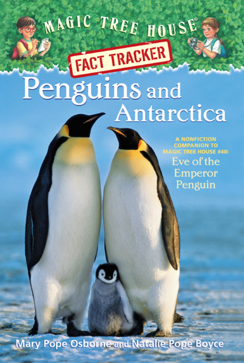 Cover image for book Penguins and Antarctica