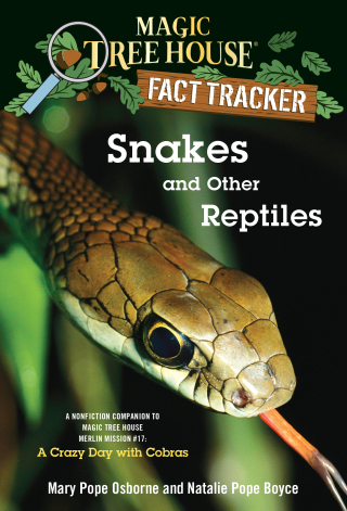 Snakes and Other Reptiles