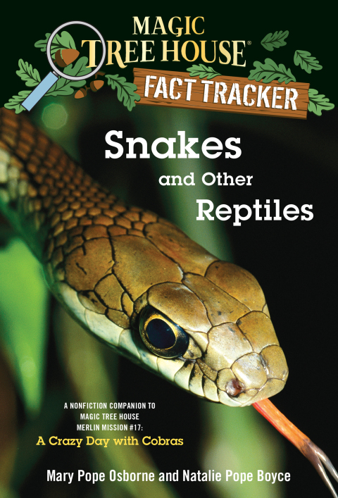 Cover image for book Snakes and Other Reptiles