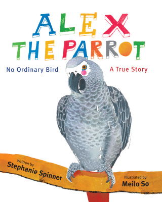 Alex the Parrot: No Ordinary Bird
