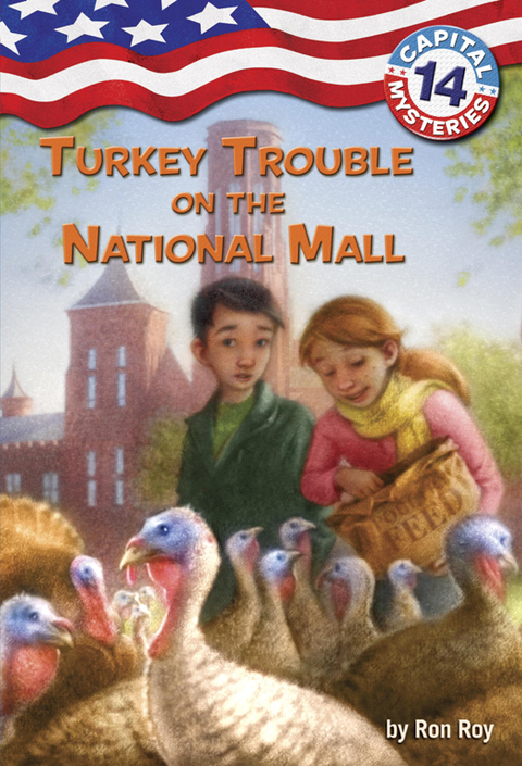Cover image for book Capital Mysteries #14: Turkey Trouble on the National Mall