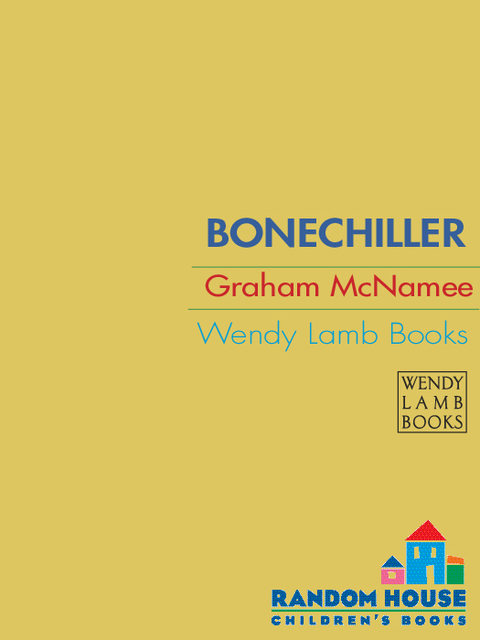 Cover image for book Bonechiller
