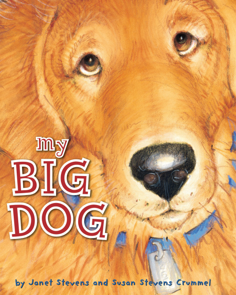 Cover image for book My Big Dog