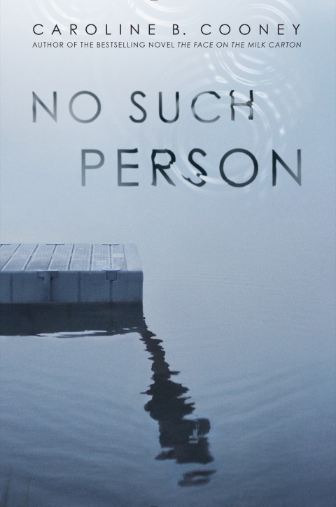 Cover image for book No Such Person