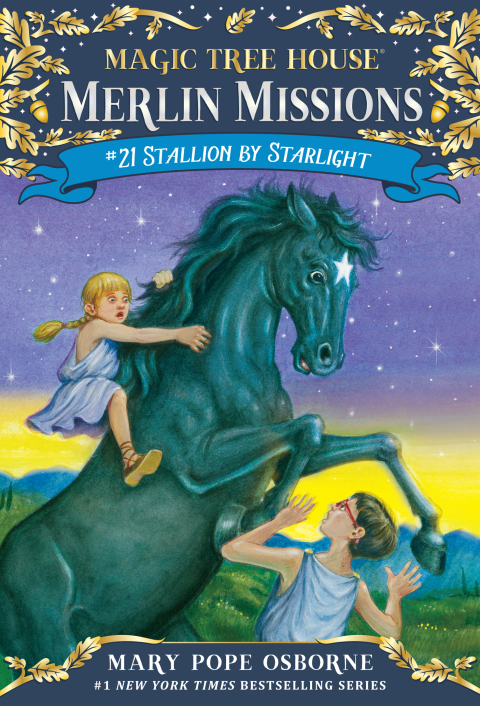 Cover image for book Stallion by Starlight