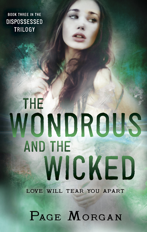 Cover image for book The Wondrous and the Wicked