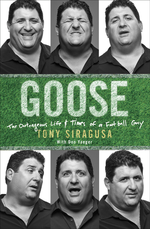 Cover image for book Goose