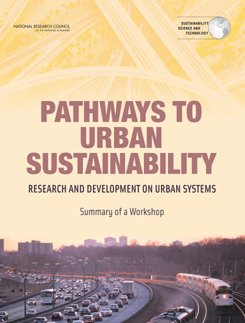 Cover image for book Pathways to Urban Sustainability