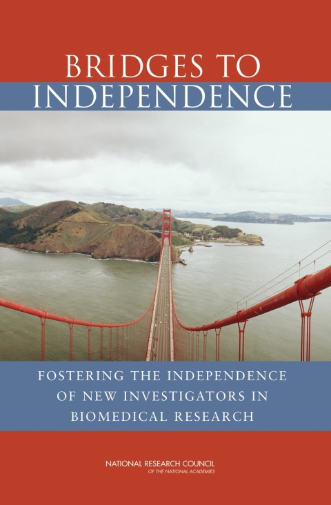 Cover image for book Bridges to Independence