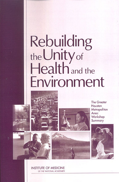 Cover image for book Rebuilding the Unity of Health and the Environment