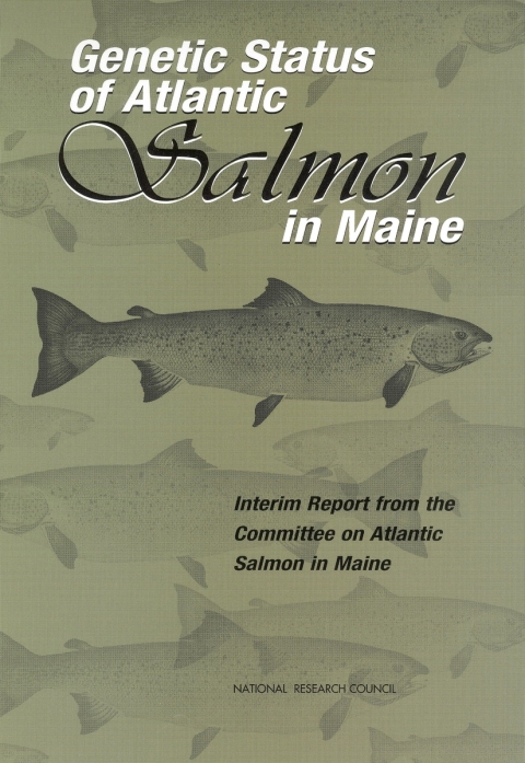 Cover image for book Genetic Status of Atlantic Salmon in Maine
