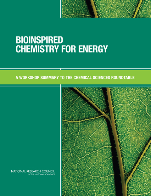 Cover image for book Bioinspired Chemistry for Energy