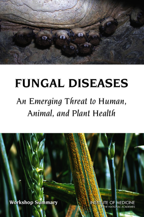 Cover image for book Fungal Diseases