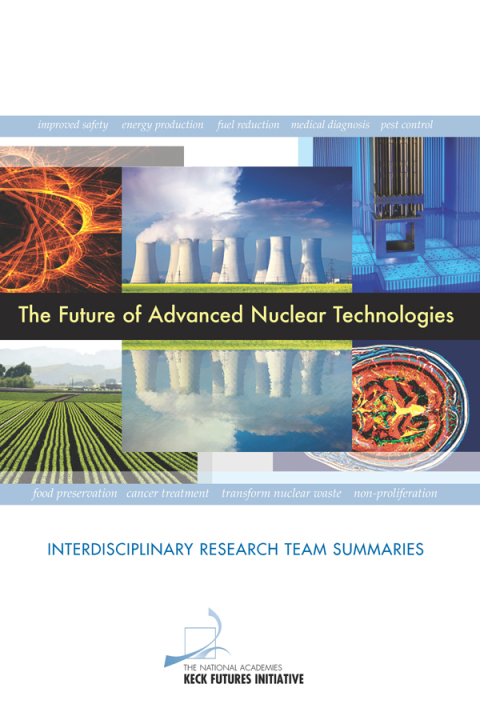 Cover image for book The Future of Advanced Nuclear Technologies