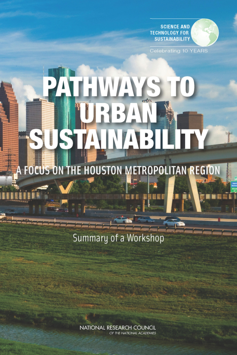 Cover image for book Pathways to Urban Sustainability