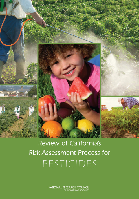 Cover image for book Review of California's Risk-Assessment Process for Pesticides