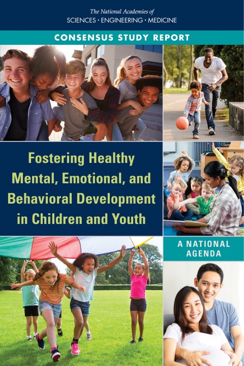 Cover image for book Fostering Healthy Mental, Emotional, and Behavioral Development in Children and Youth