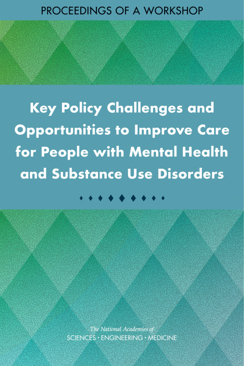 Cover image for book Key Policy Challenges and Opportunities to Improve Care for People with Mental Health and Substance Use Disorders