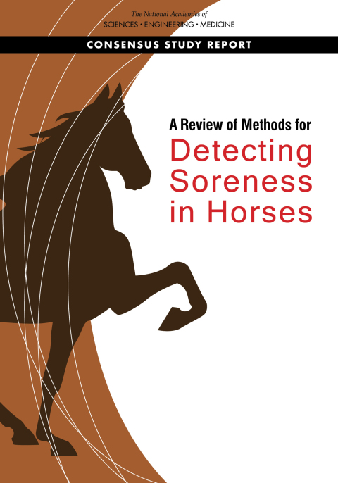 Cover image for book A Review of Methods for Detecting Soreness in Horses