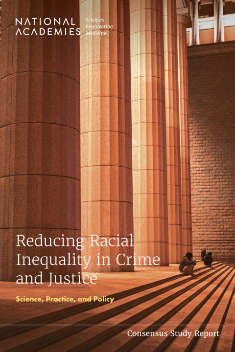 Cover image for book Reducing Racial Inequality in Crime and Justice