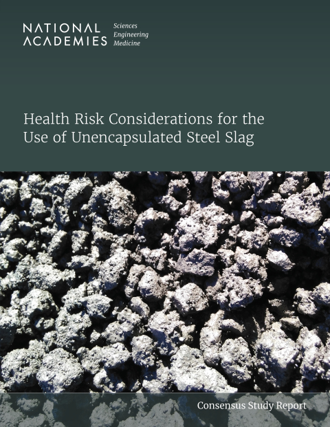 Cover image for book Health Risk Considerations for the Use of Unencapsulated Steel Slag
