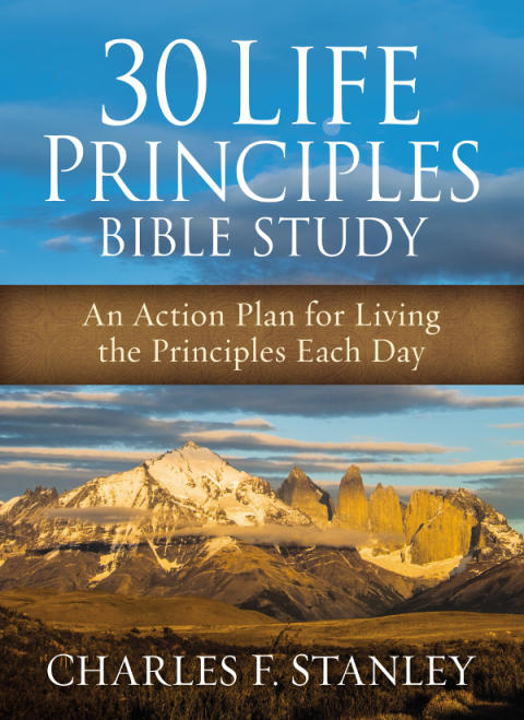 Cover image for book 30 Life Principles Bible Study