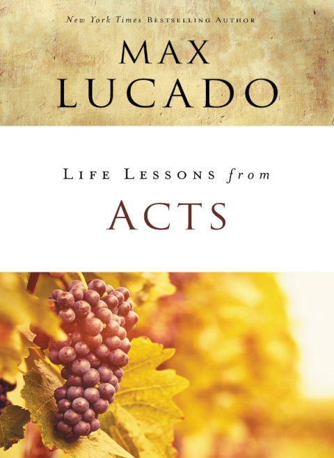 Cover image for book Life Lessons from Acts