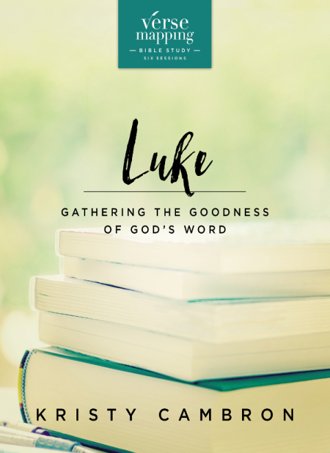 Cover image for book Verse Mapping Luke Bible Study Guide