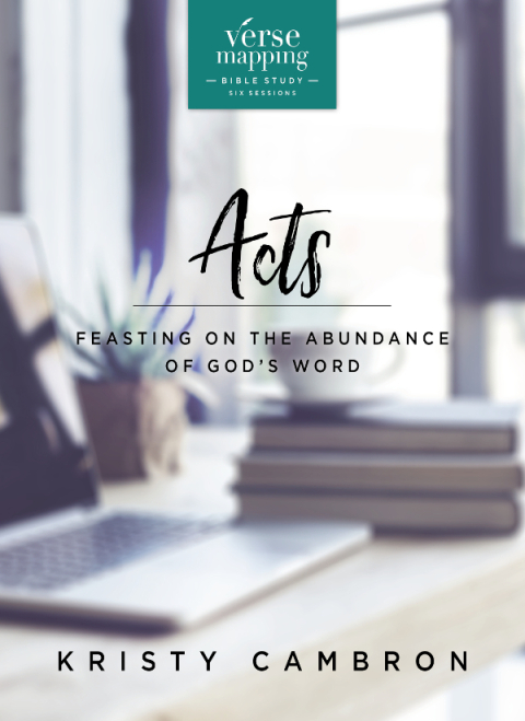 Cover image for book Verse Mapping Acts Bible Study Guide