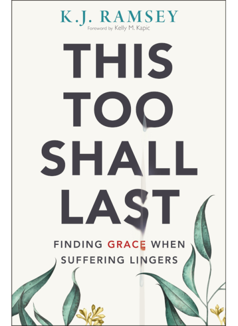 Cover image for book This Too Shall Last