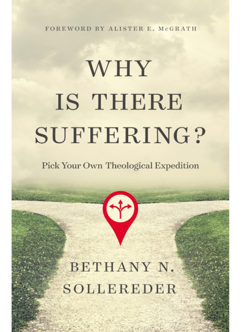 Cover image for book Why Is There Suffering?